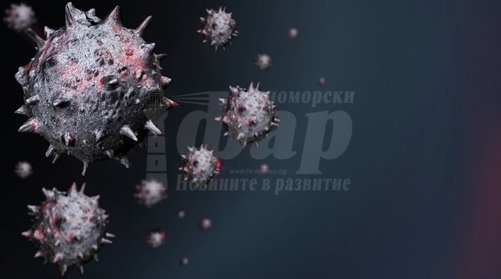 Експерт: Хантавирусът не е заплаха от мащаба на COVID-19